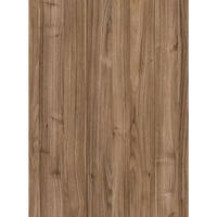 Modernform Cabinet Walnut Door Sample